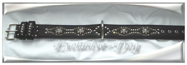 Bild vergr&ouml;&szlig;ern