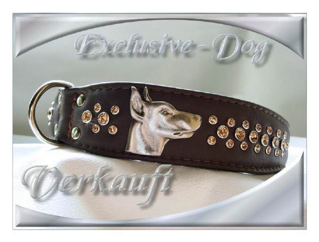 Bild vergr&ouml;&szlig;ern