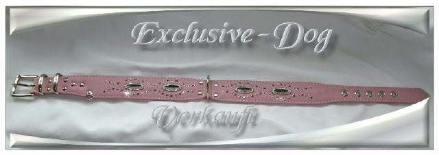 Bild vergr&ouml;&szlig;ern