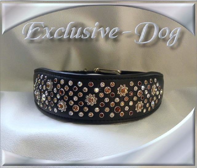 Bild vergr&ouml;&szlig;ern