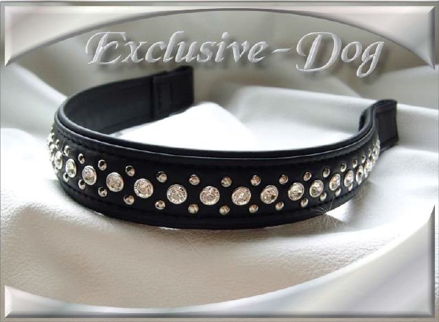 Bild vergr&ouml;&szlig;ern