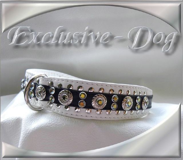 Unikat Hundehalsband Lederhalsband