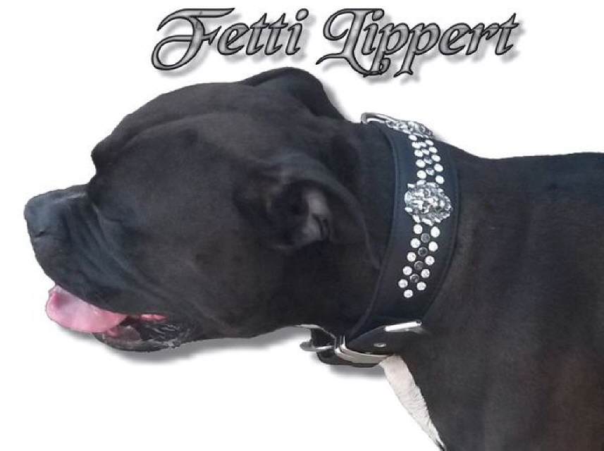 Fetti Lippert. Markant, breit und stabil-komfortabel und langlebig